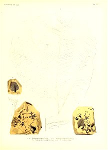 n354_w1150