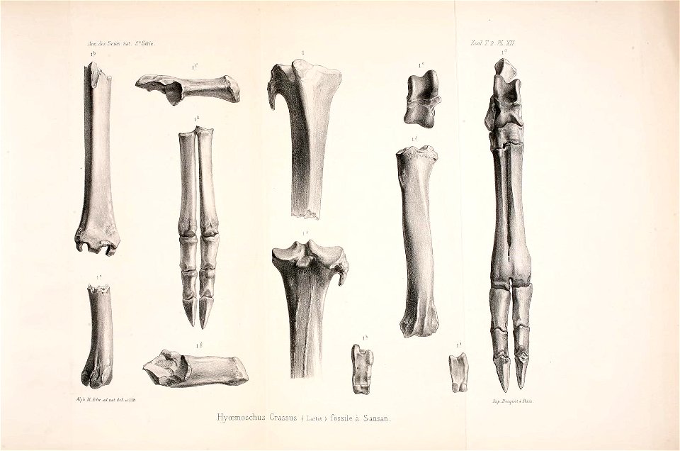 n172_w1150