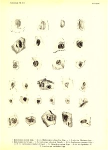 n388_w1150