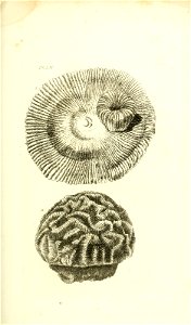 n112_w1150