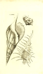 n82_w1150
