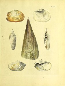 n318_w1150