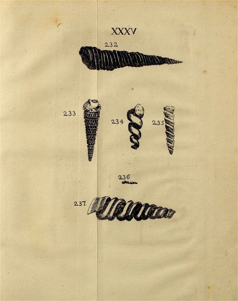 n410_w1150