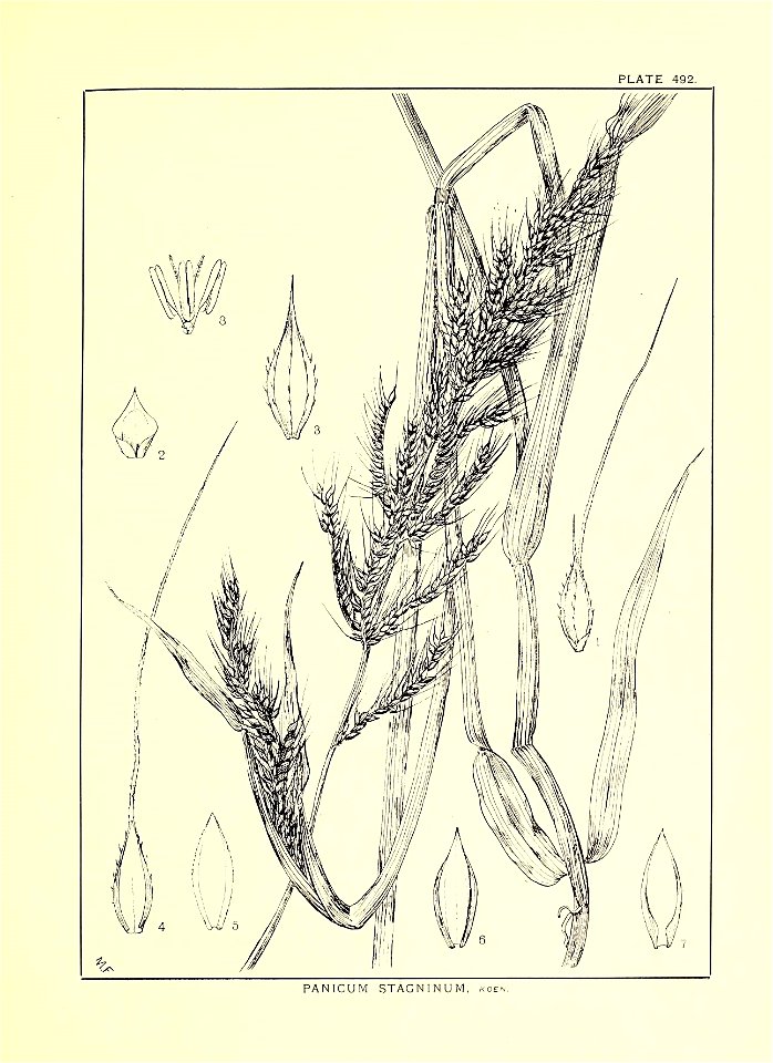 n304_w1150