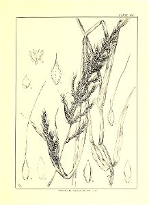 n304_w1150