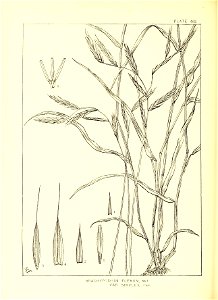 n209_w1150
