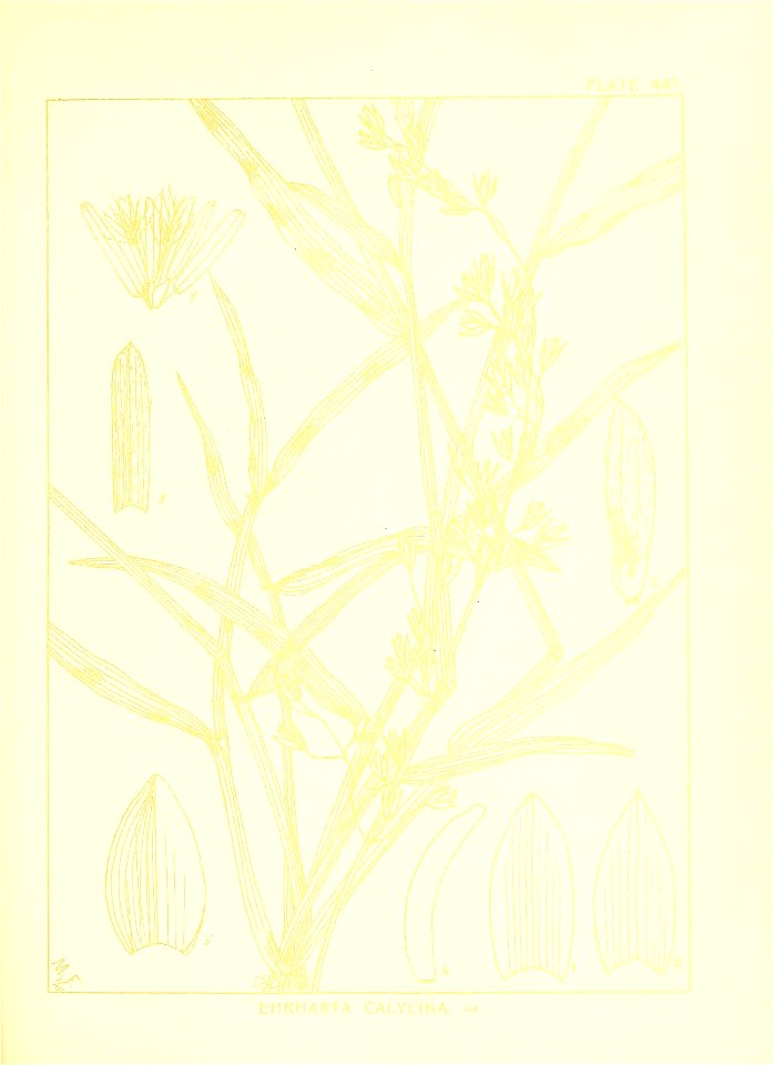 n158_w1150