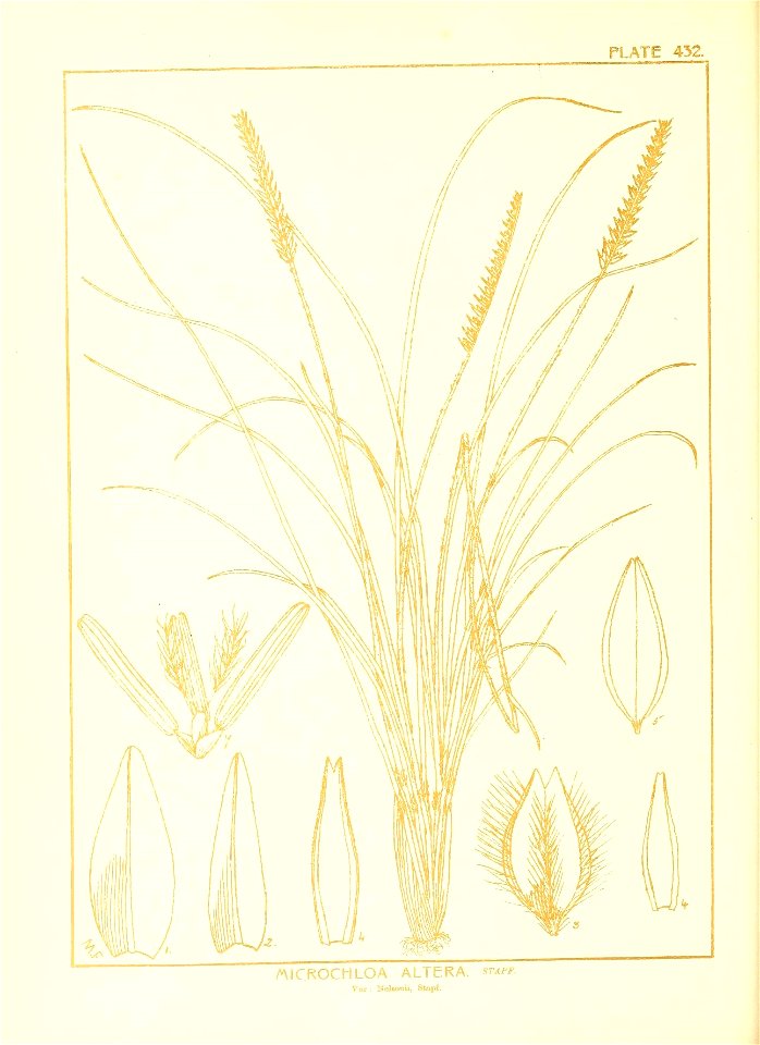 n113_w1150