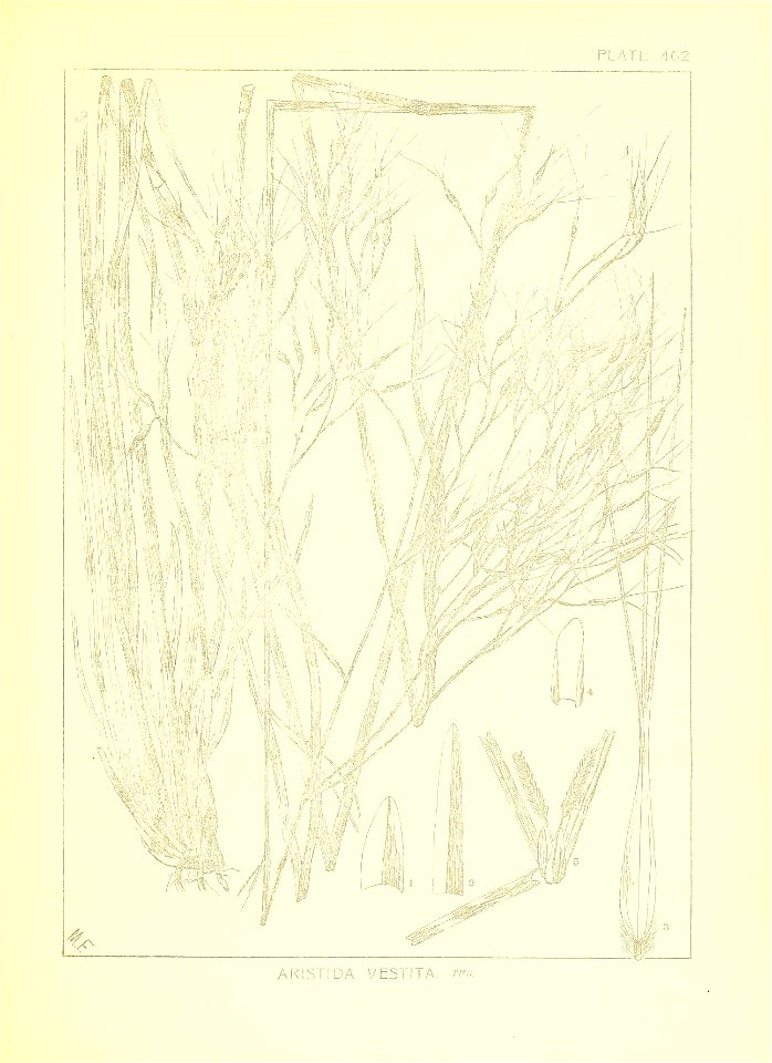n18_w1150