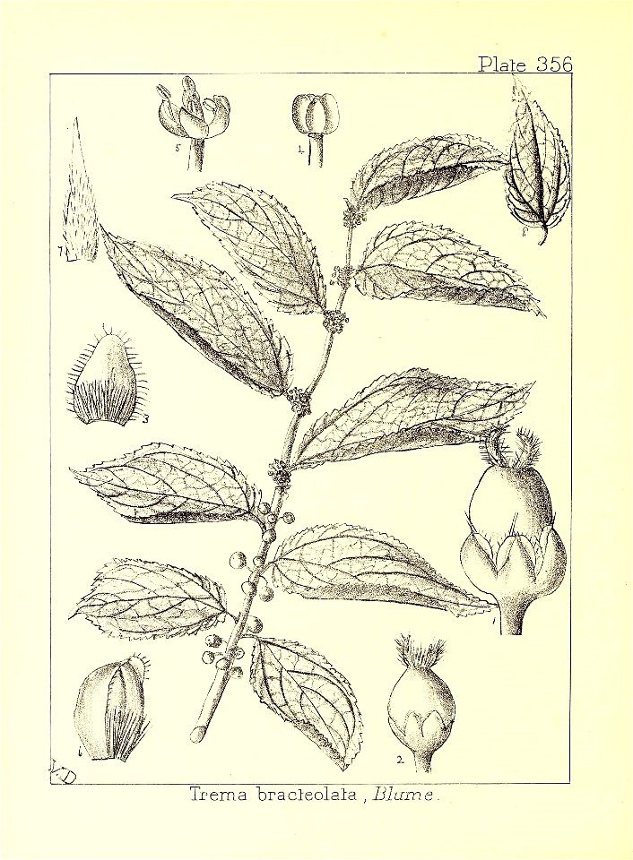 n189_w1150