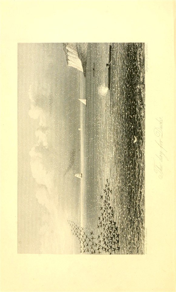n175_w1150