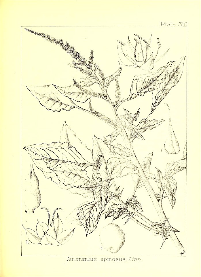 n42_w1150