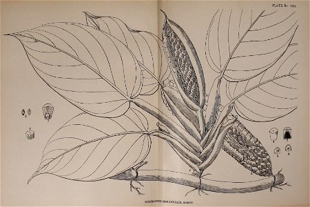 n574_w1150