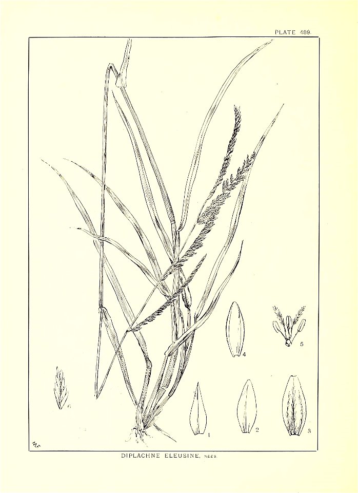 n295_w1150