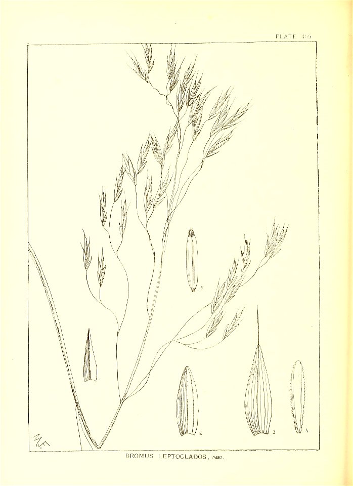n199_w1150