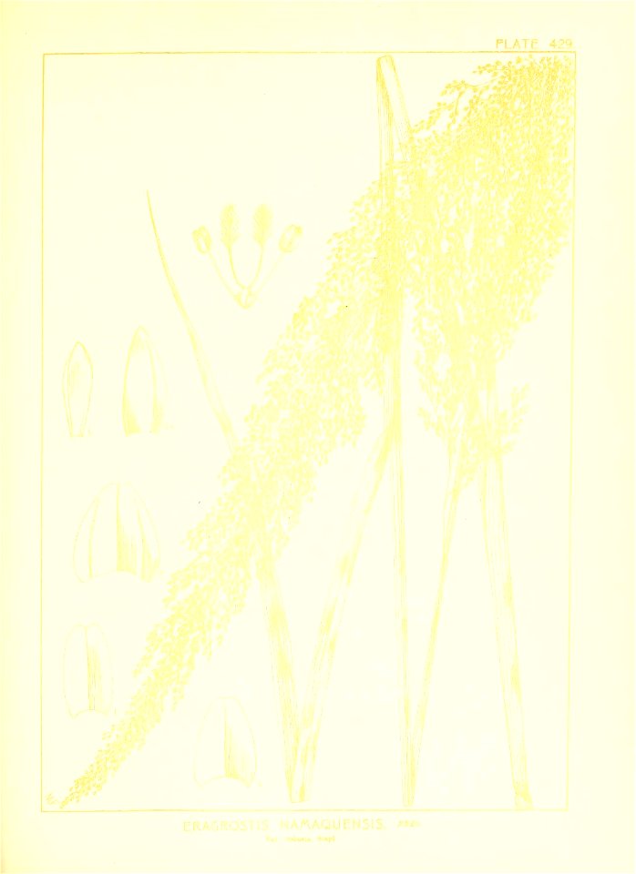 n104_w1150