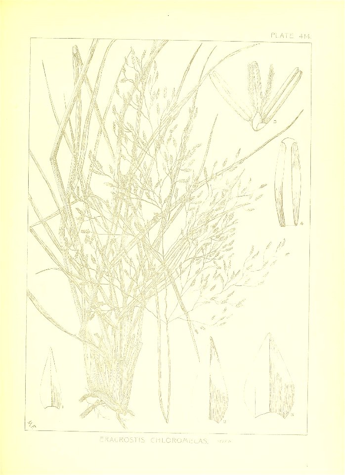 n54_w1150