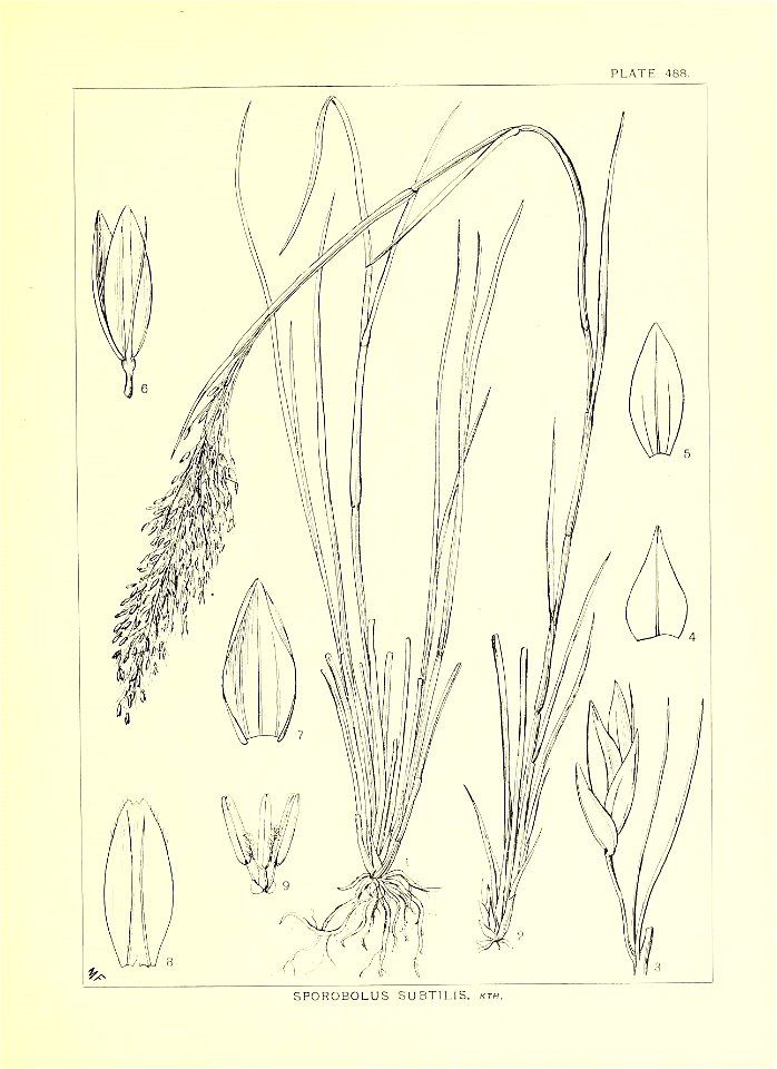 n292_w1150