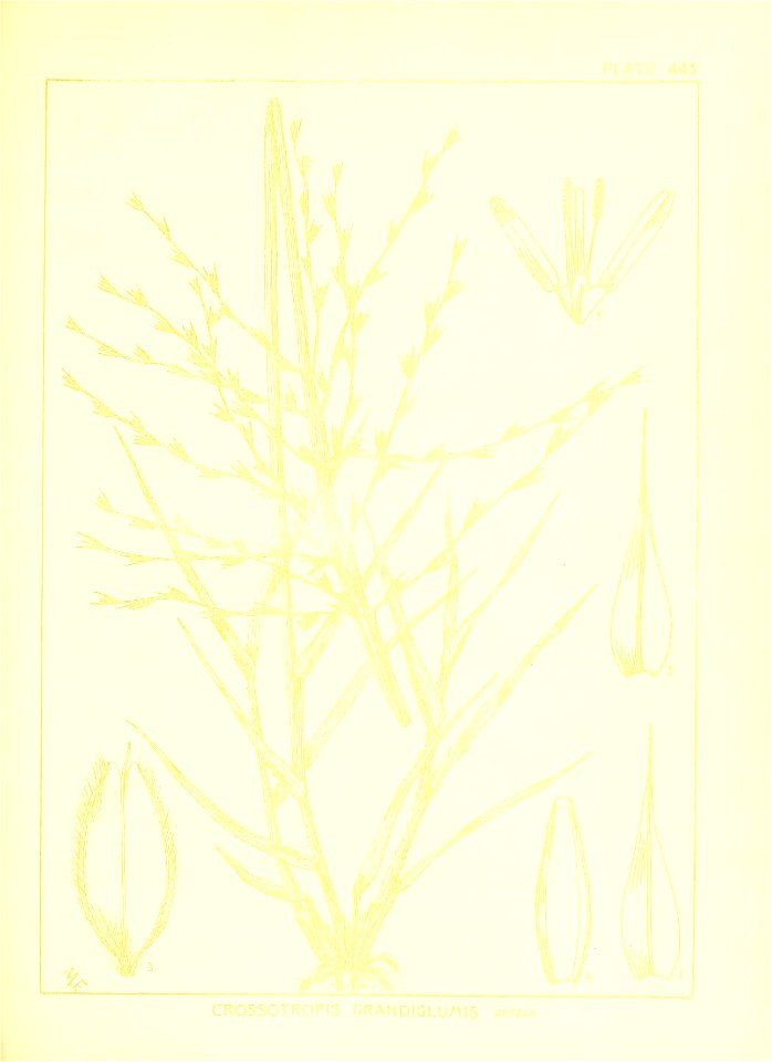 n146_w1150