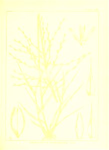 n146_w1150