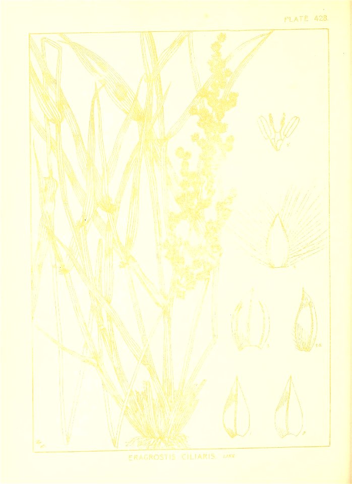 n101_w1150