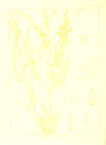 n101_w1150