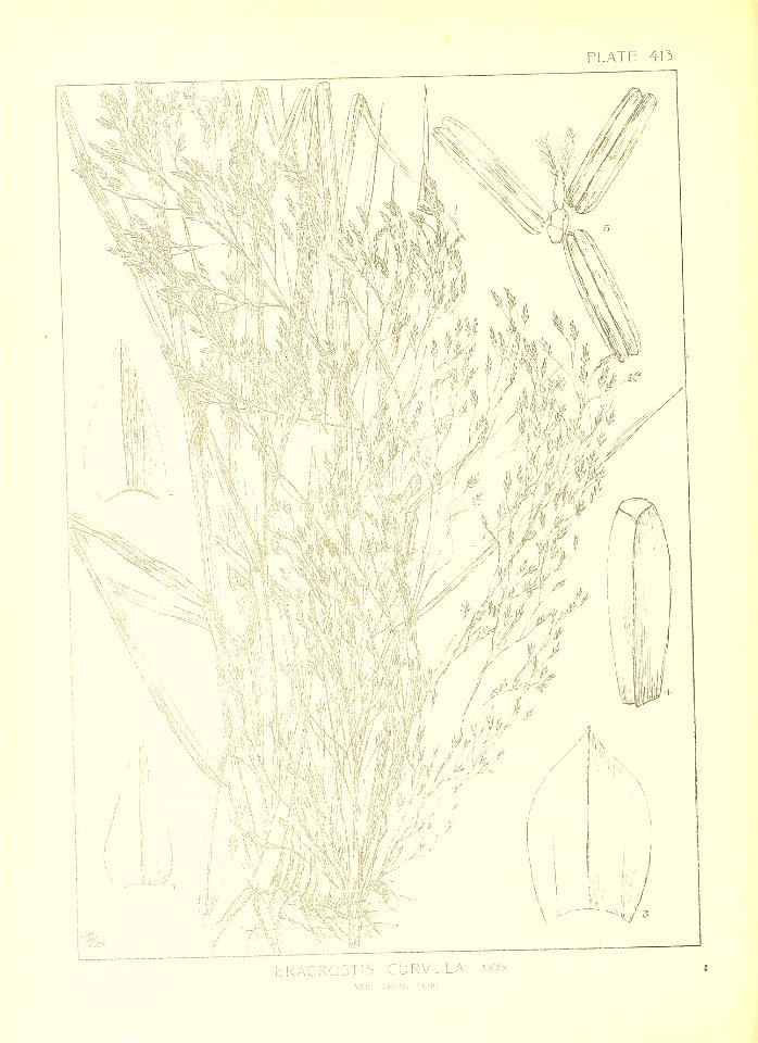 n51_w1150