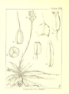 n131_w1150