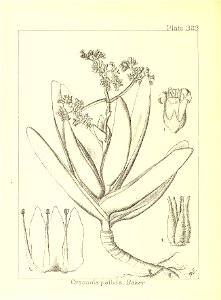 n81_w1150