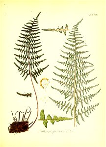 n46_w1150