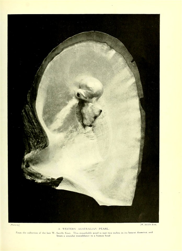 n456_w1150