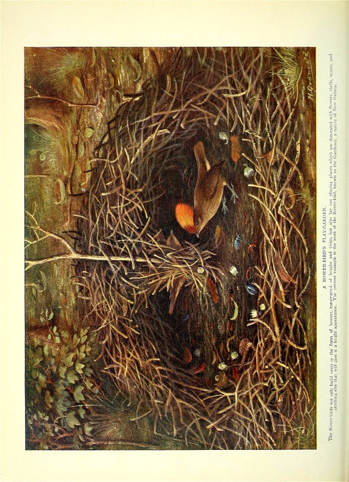 n251_w1150