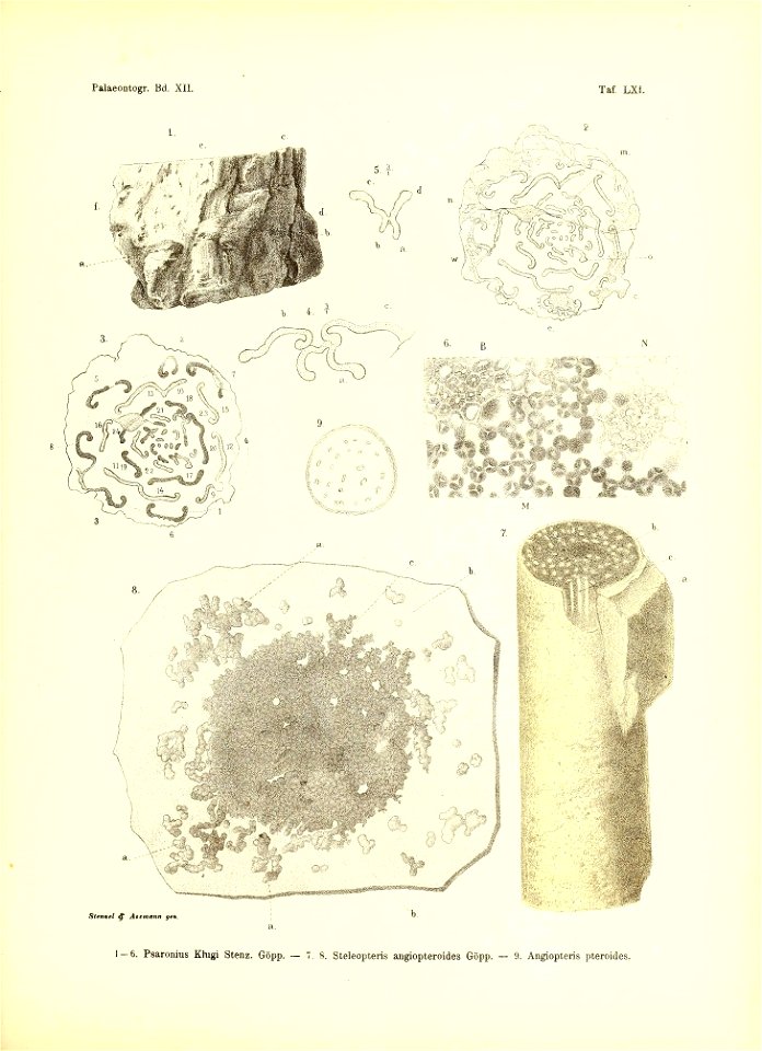 n466_w1150
