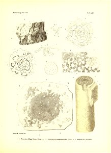 n466_w1150