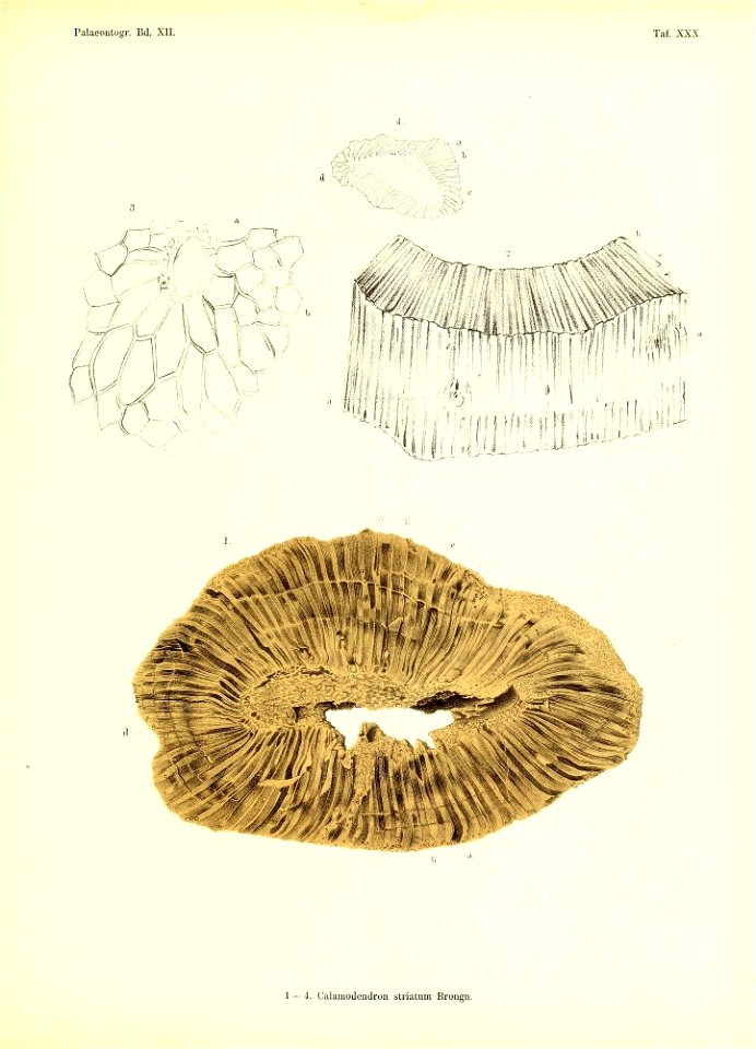 n396_w1150