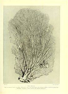 n612_w1150