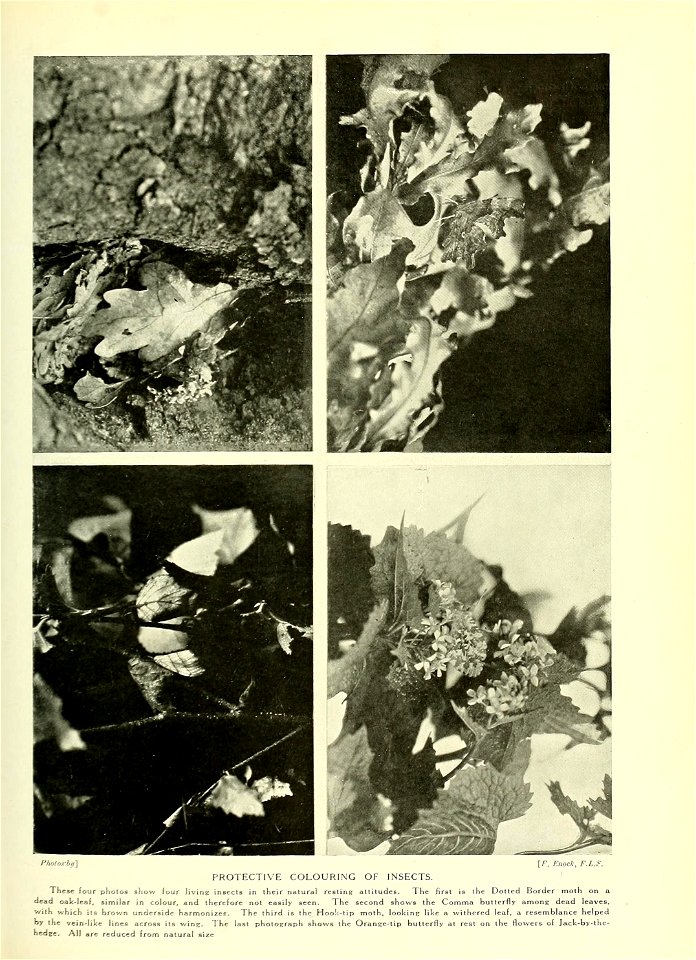 n538_w1150