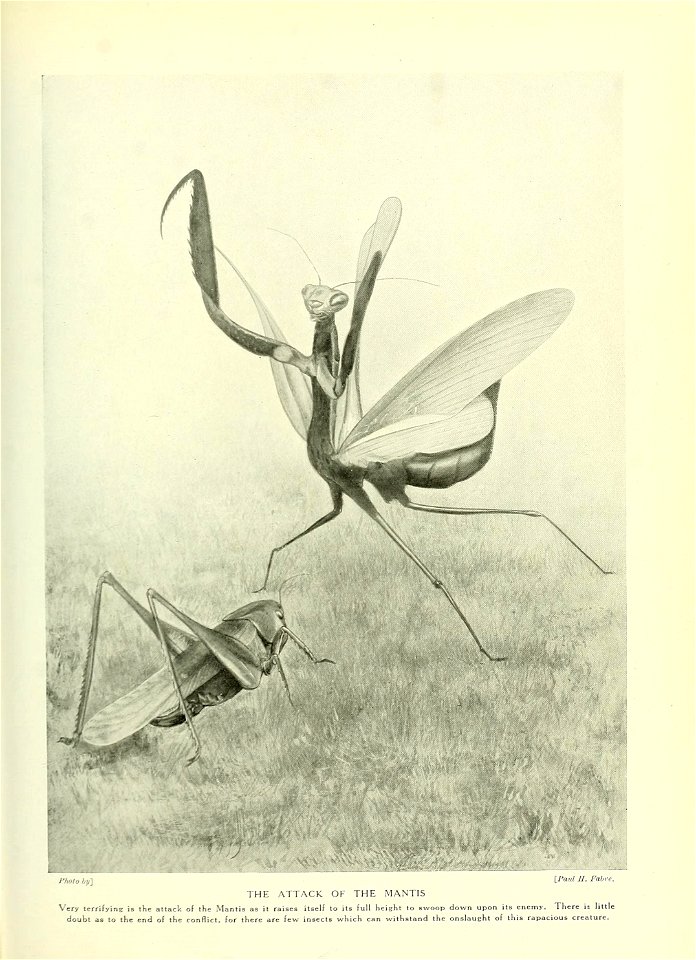 n304_w1150