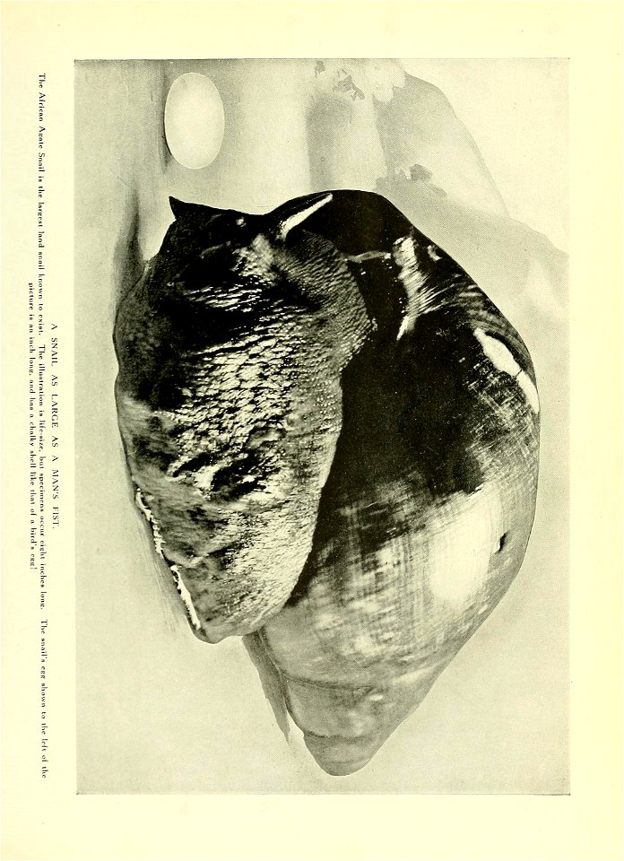 n118_w1150