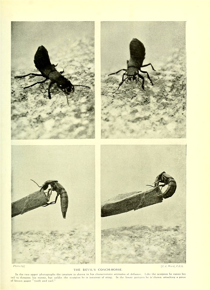 n674_w1150