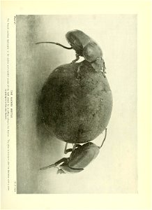 n236_w1150