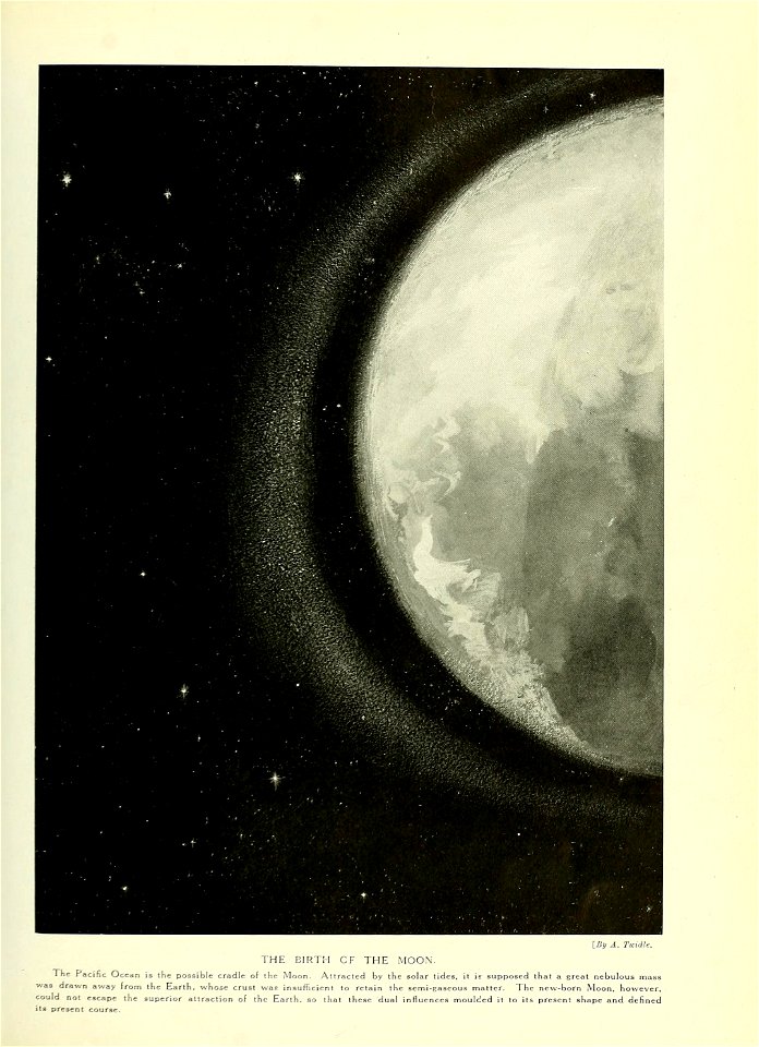 n292_w1150