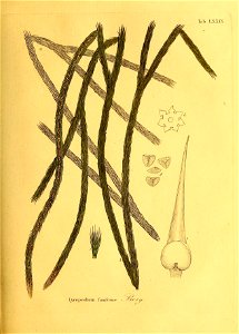 n378_w1150