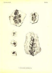 n386_w1150