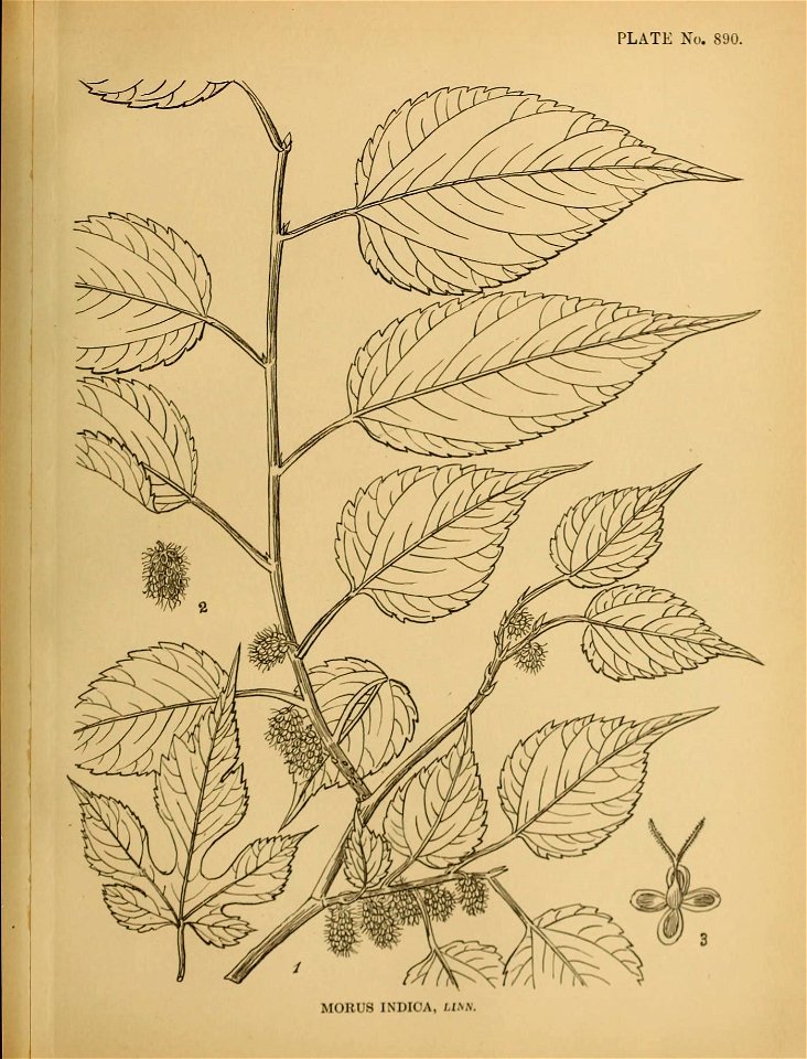 n214_w1150