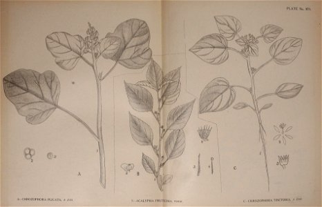 n182_w1150