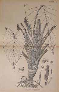 n568_w1150