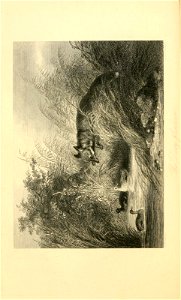 n103_w1150