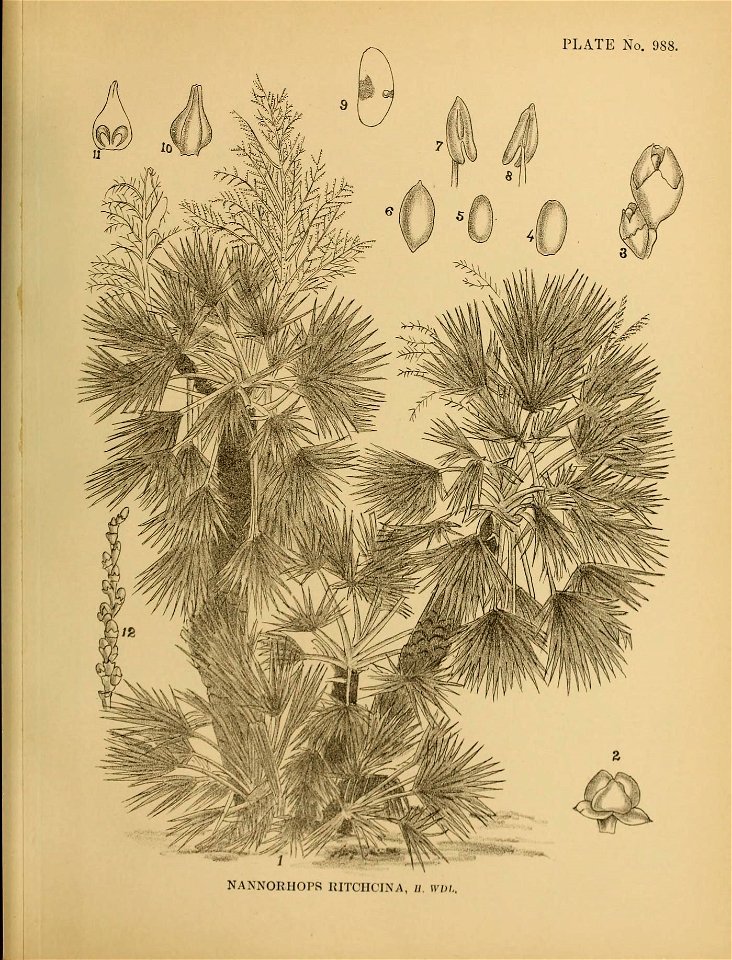n508_w1150