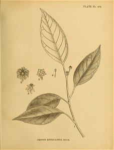 n168_w1150